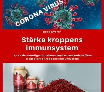 koronavirus1